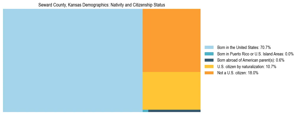 Treemap showing the population distribution by nativity and citizenship status in Seward County, Kansas based on U.S. Census data.