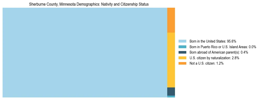 Treemap showing the population distribution by nativity and citizenship status in Sherburne County, Minnesota based on U.S. Census data.