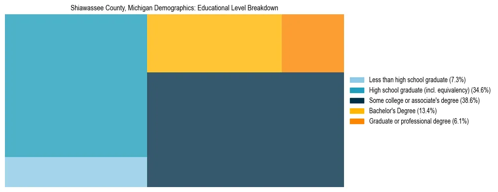 Treemap chart illustrating the educational attainment breakdown for population 25 years and over in Shiawassee County, Michigan.