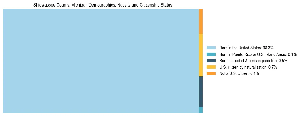 Treemap showing the population distribution by nativity and citizenship status in Shiawassee County, Michigan based on U.S. Census data.