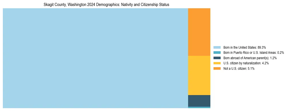 Treemap showing the population distribution by nativity and citizenship status in Skagit County, Washington based on U.S. Census data.