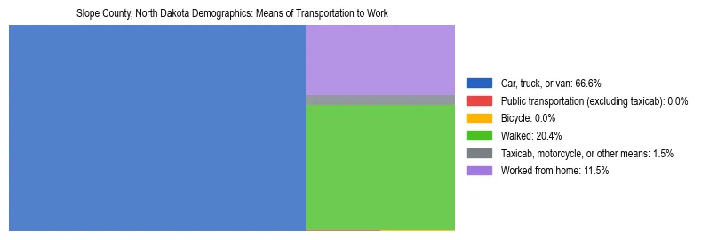 Treemap showing means of transportation to work distribution in Slope County, North Dakota.