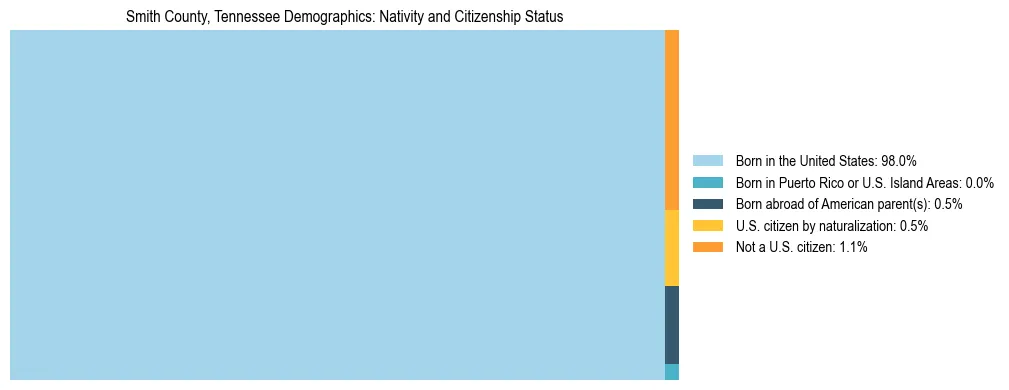 Treemap showing the population distribution by nativity and citizenship status in Smith County, Tennessee based on U.S. Census data.