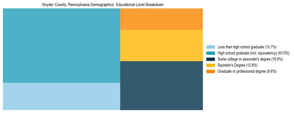 Treemap chart illustrating the educational attainment breakdown for population 25 years and over in Snyder County, Pennsylvania.