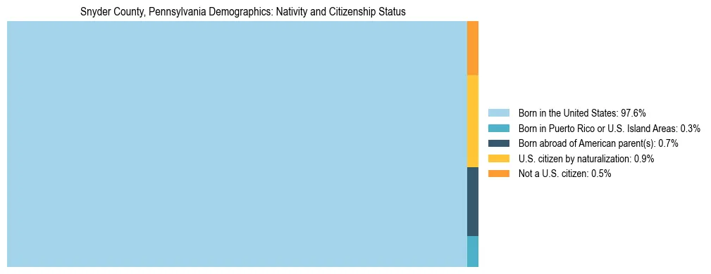 Treemap showing the population distribution by nativity and citizenship status in Snyder County, Pennsylvania based on U.S. Census data.