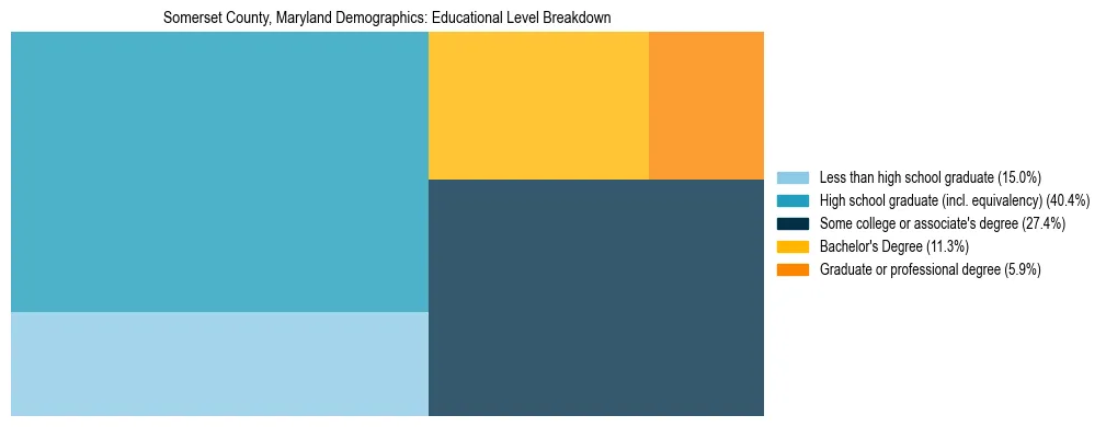 Treemap chart illustrating the educational attainment breakdown for population 25 years and over in Somerset County, Maryland.