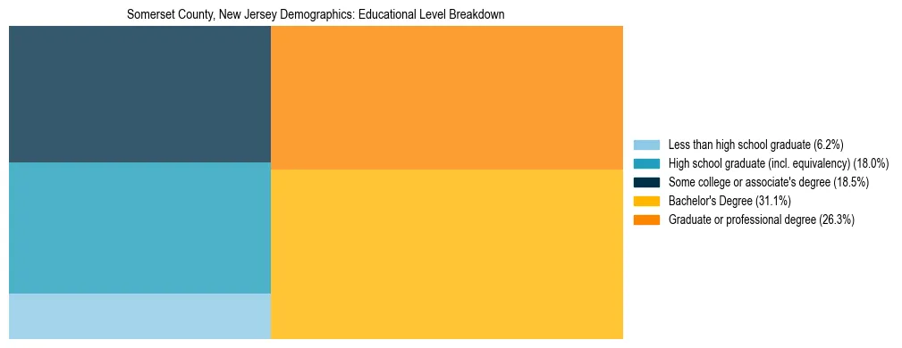 Treemap chart illustrating the educational attainment breakdown for population 25 years and over in Somerset County, New Jersey.
