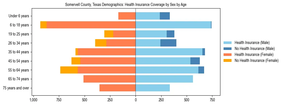Pyramid chart showing health insurance coverage by age and sex in Somervell County, Texas.