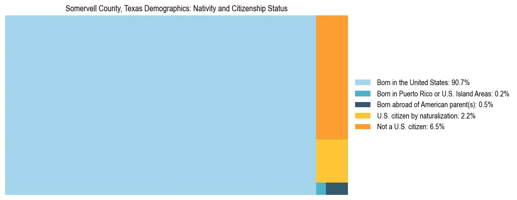 Treemap showing the population distribution by nativity and citizenship status in Somervell County, Texas based on U.S. Census data.