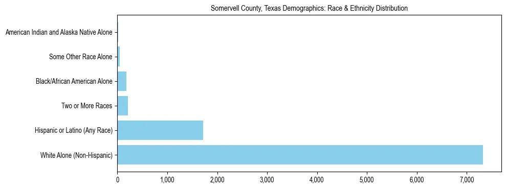 Race and Ethnicity Distribution Chart for Somervell County, Texas
