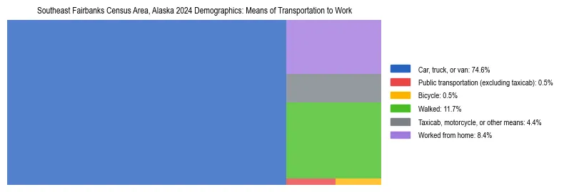 Treemap showing means of transportation to work distribution in Southeast Fairbanks Census Area, Alaska.