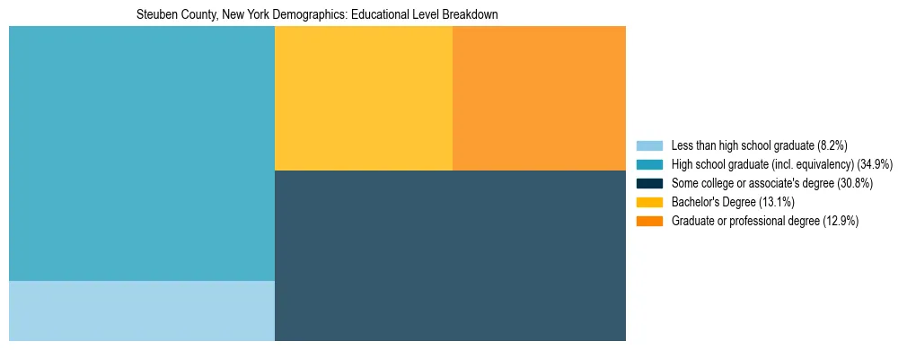 Treemap chart illustrating the educational attainment breakdown for population 25 years and over in Steuben County, New York.