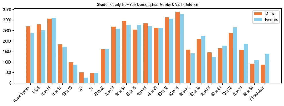 Bar chart showing the population distribution of Steuben County, New York by age group and gender, based on 2023 ACS data.