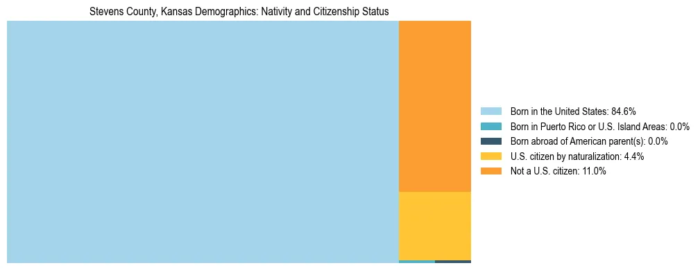 Treemap showing the population distribution by nativity and citizenship status in Stevens County, Kansas based on U.S. Census data.