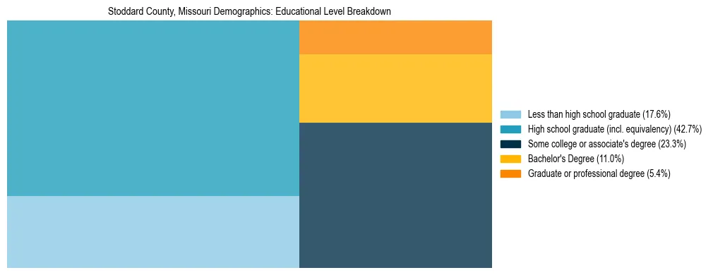 Treemap chart illustrating the educational attainment breakdown for population 25 years and over in Stoddard County, Missouri.