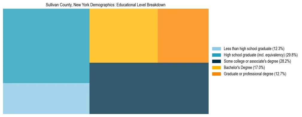 Treemap chart illustrating the educational attainment breakdown for population 25 years and over in Sullivan County, New York.