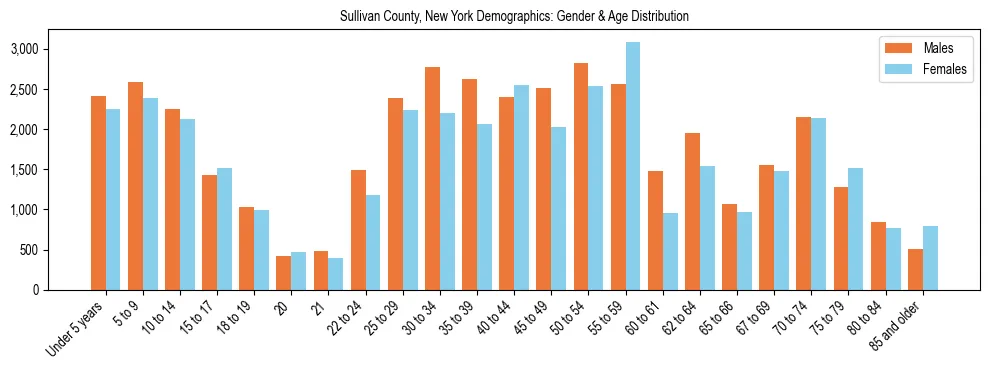 Bar chart showing the population distribution of Sullivan County, New York by age group and gender, based on 2023 ACS data.