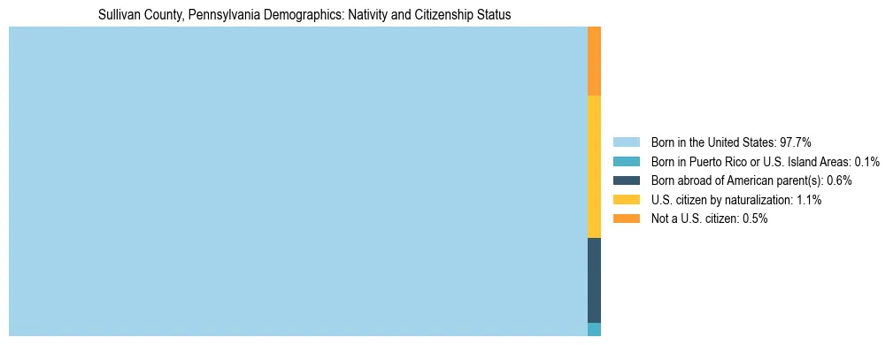 Treemap showing the population distribution by nativity and citizenship status in Sullivan County, Pennsylvania based on U.S. Census data.