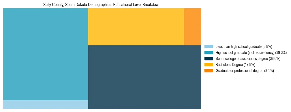 Treemap chart illustrating the educational attainment breakdown for population 25 years and over in Sully County, South Dakota.