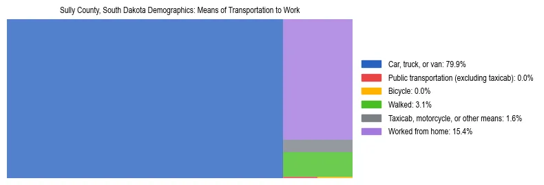 Treemap showing means of transportation to work distribution in Sully County, South Dakota.