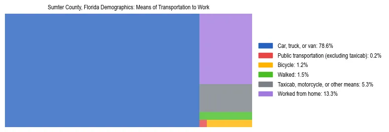 Treemap showing means of transportation to work distribution in Sumter County, Florida.