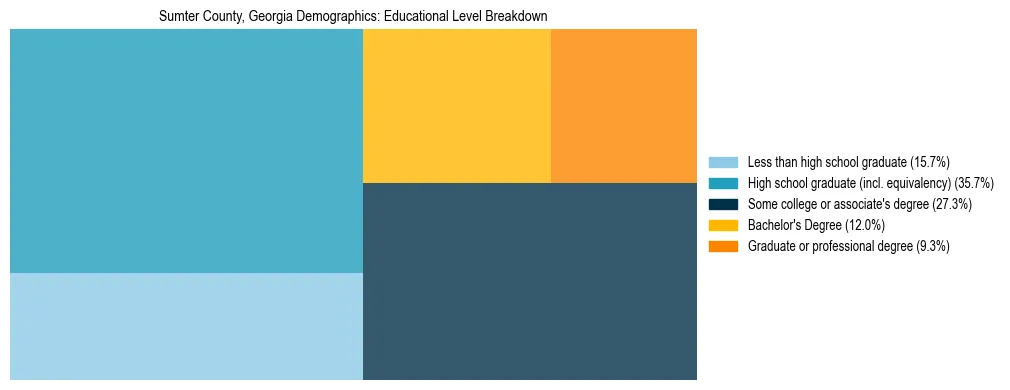 Treemap chart illustrating the educational attainment breakdown for population 25 years and over in Sumter County, Georgia.