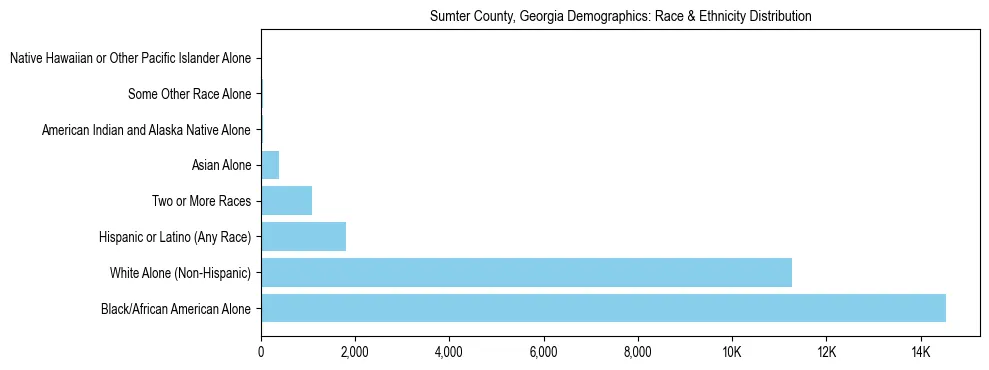 Race and Ethnicity Distribution Chart for Sumter County, Georgia