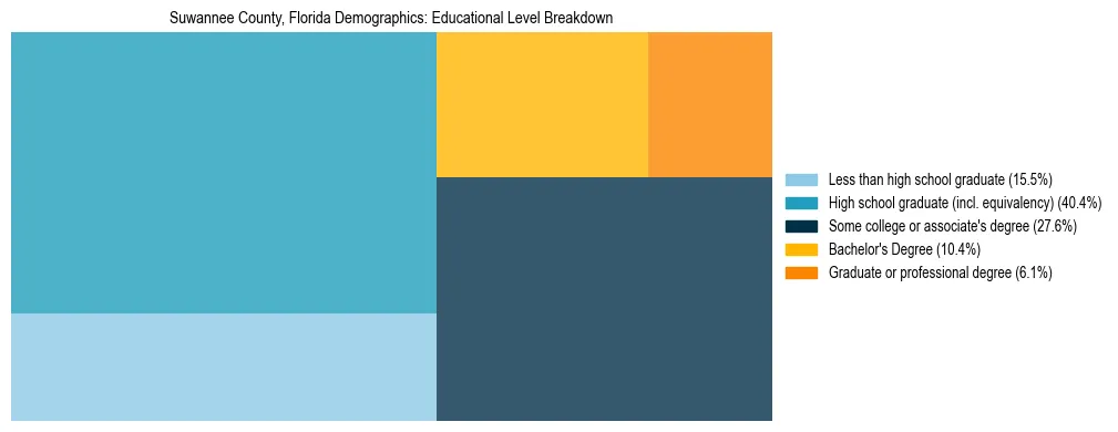 Treemap chart illustrating the educational attainment breakdown for population 25 years and over in Suwannee County, Florida.