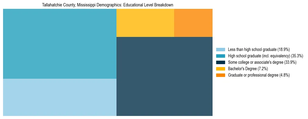 Treemap chart illustrating the educational attainment breakdown for population 25 years and over in Tallahatchie County, Mississippi.