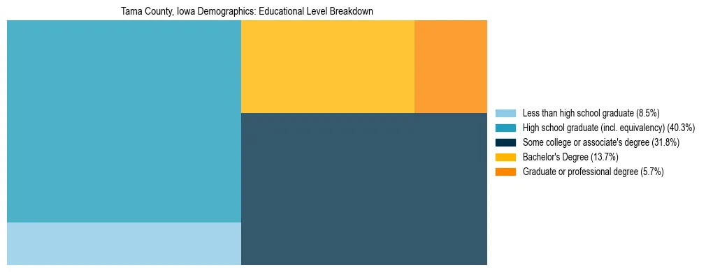Treemap chart illustrating the educational attainment breakdown for population 25 years and over in Tama County, Iowa.