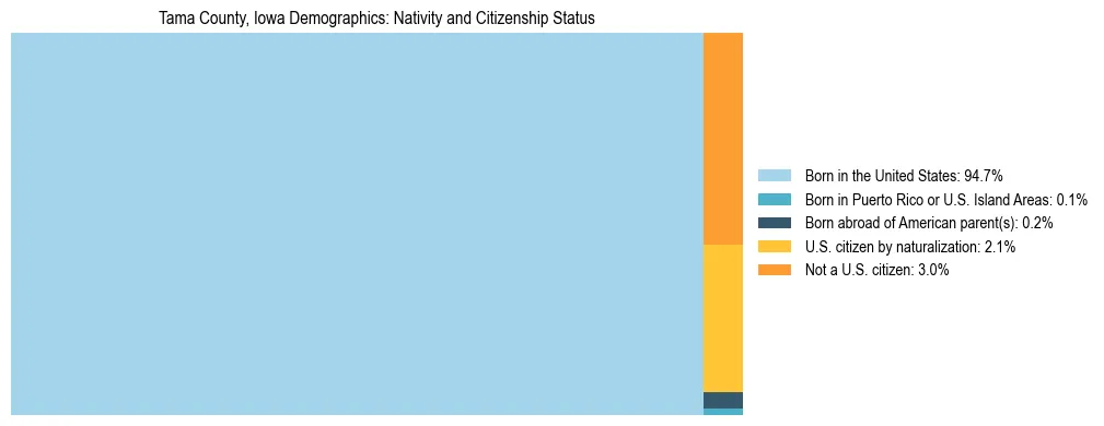 Treemap showing the population distribution by nativity and citizenship status in Tama County, Iowa based on U.S. Census data.