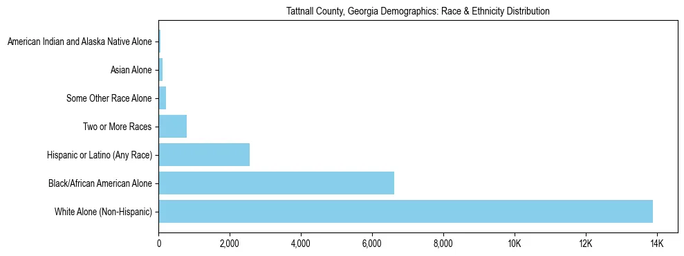 Race and Ethnicity Distribution Chart for Tattnall County, Georgia