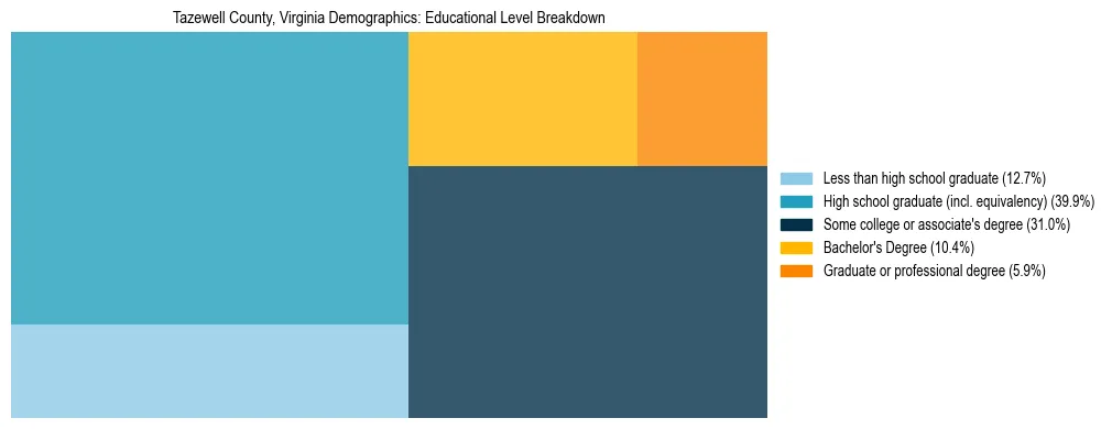 Treemap chart illustrating the educational attainment breakdown for population 25 years and over in Tazewell County, Virginia.