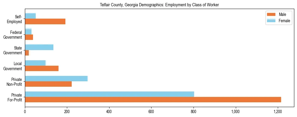 Horizontal bar chart showing employment distribution by class of worker and gender in Telfair County, Georgia, based on 2023 ACS data.