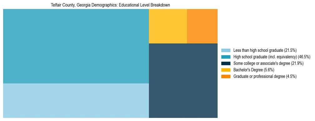 Treemap chart illustrating the educational attainment breakdown for population 25 years and over in Telfair County, Georgia.
