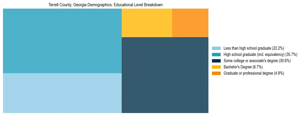 Treemap chart illustrating the educational attainment breakdown for population 25 years and over in Terrell County, Georgia.