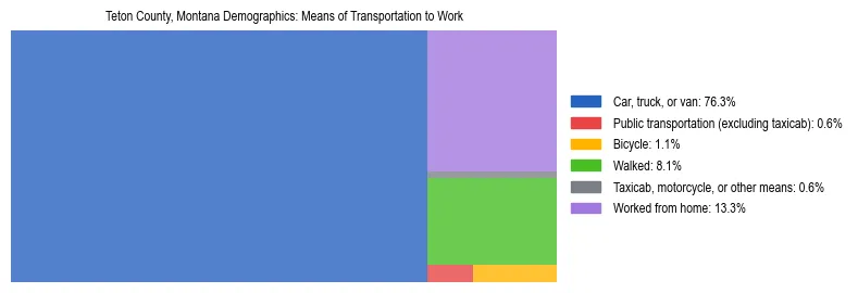 Treemap showing means of transportation to work distribution in Teton County, Montana.
