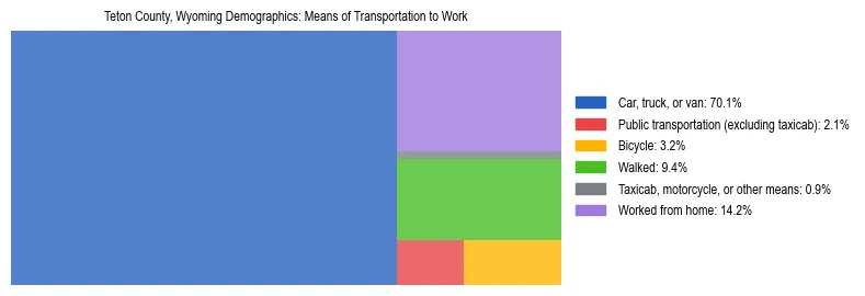 Treemap showing means of transportation to work distribution in Teton County, Wyoming.