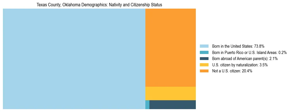 Treemap showing the population distribution by nativity and citizenship status in Texas County, Oklahoma based on U.S. Census data.