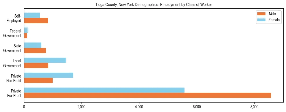 Horizontal bar chart showing employment distribution by class of worker and gender in Tioga County, New York, based on 2023 ACS data.