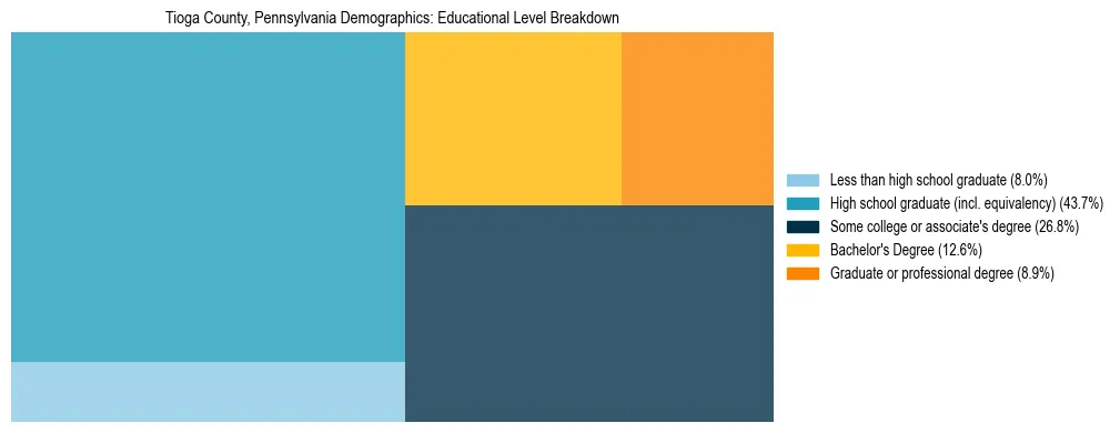 Treemap chart illustrating the educational attainment breakdown for population 25 years and over in Tioga County, Pennsylvania.