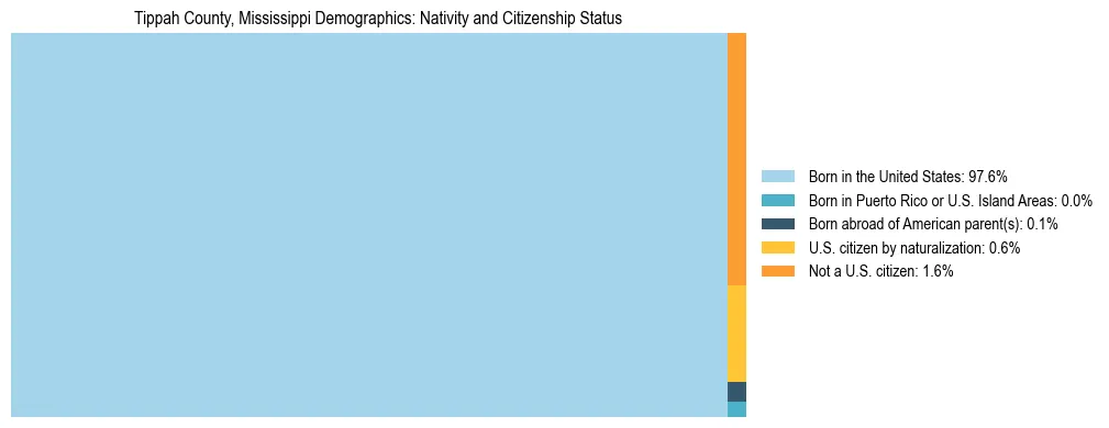 Treemap showing the population distribution by nativity and citizenship status in Tippah County, Mississippi based on U.S. Census data.