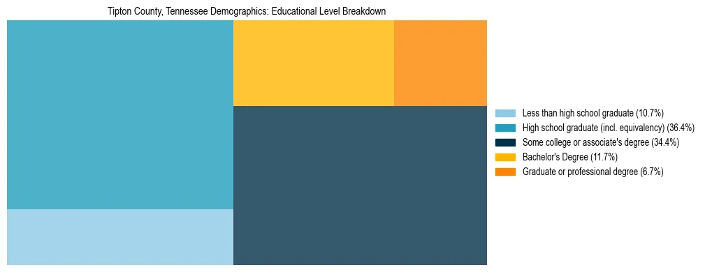 Treemap chart illustrating the educational attainment breakdown for population 25 years and over in Tipton County, Tennessee.