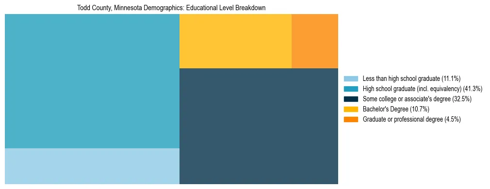 Treemap chart illustrating the educational attainment breakdown for population 25 years and over in Todd County, Minnesota.