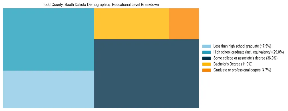 Treemap chart illustrating the educational attainment breakdown for population 25 years and over in Todd County, South Dakota.