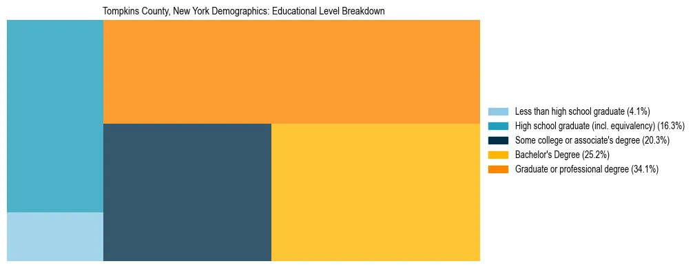 Treemap chart illustrating the educational attainment breakdown for population 25 years and over in Tompkins County, New York.