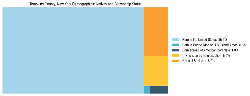 Treemap showing the population distribution by nativity and citizenship status in Tompkins County, New York based on U.S. Census data.