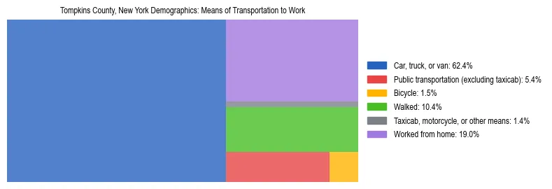 Treemap showing means of transportation to work distribution in Tompkins County, New York.