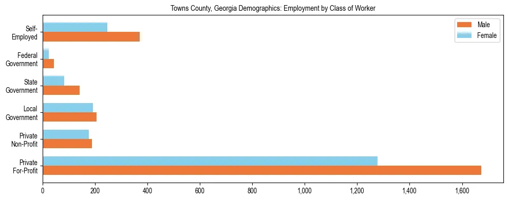 Horizontal bar chart showing employment distribution by class of worker and gender in Towns County, Georgia, based on 2023 ACS data.