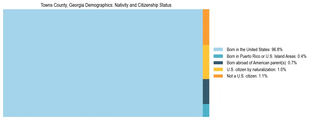 Treemap showing the population distribution by nativity and citizenship status in Towns County, Georgia based on U.S. Census data.